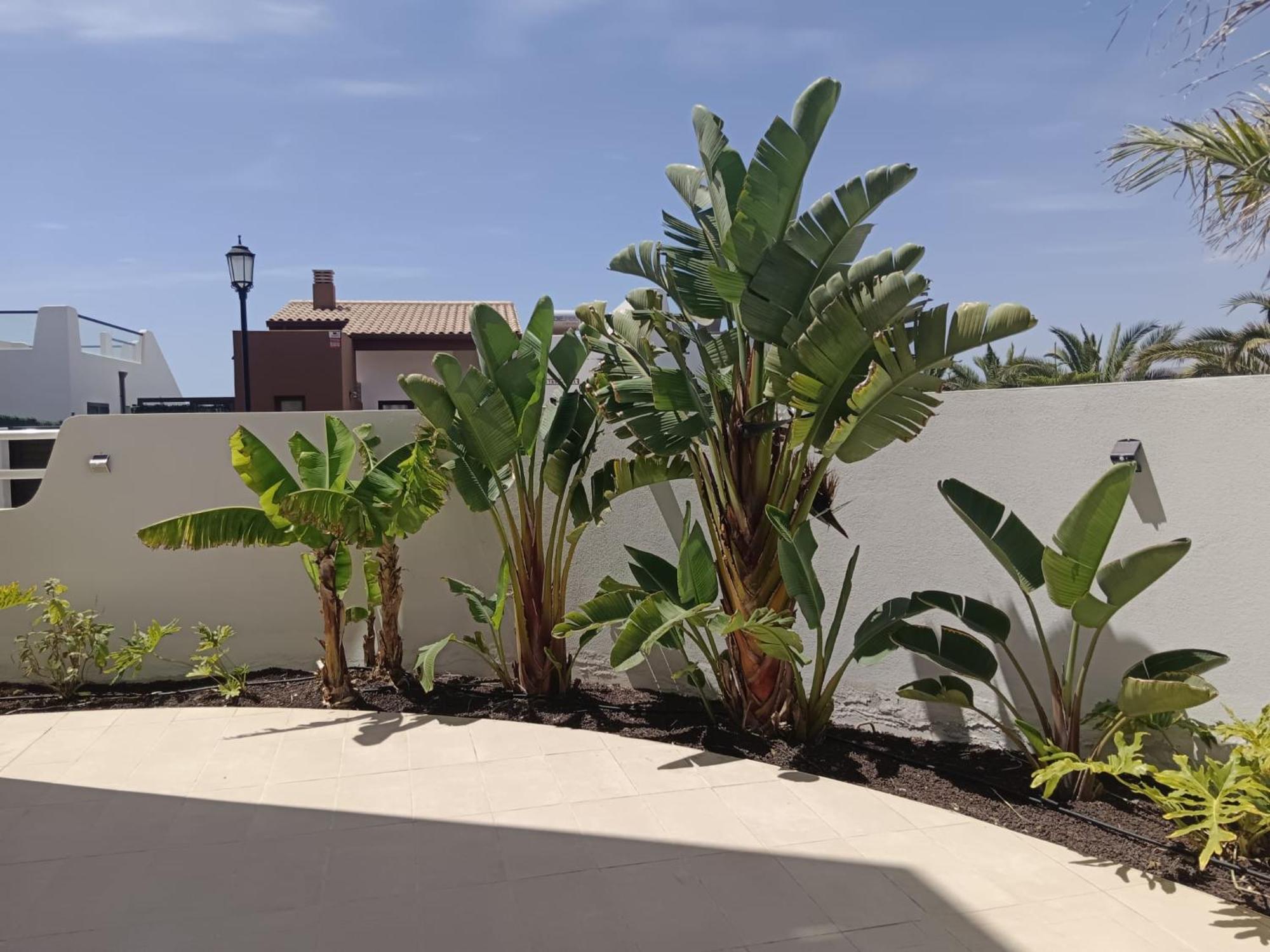 קלטה דה פוסטה Homeforguest Flat With Large Terrace In Modern Residential Complex With Swimming Pool מראה חיצוני תמונה